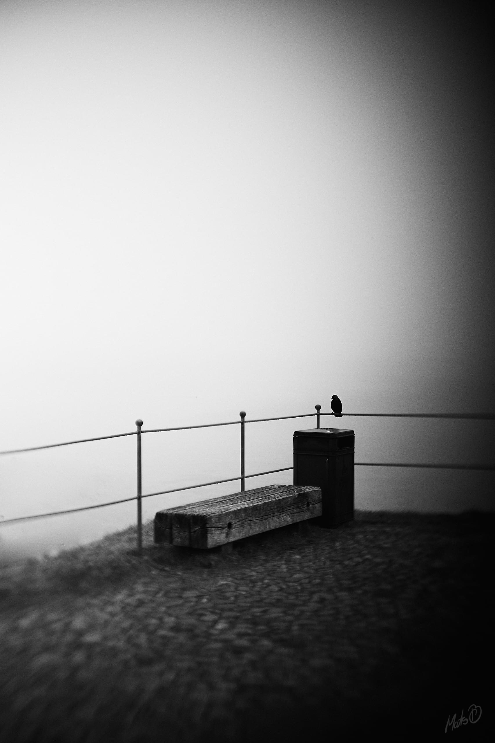 Je suis noir #1