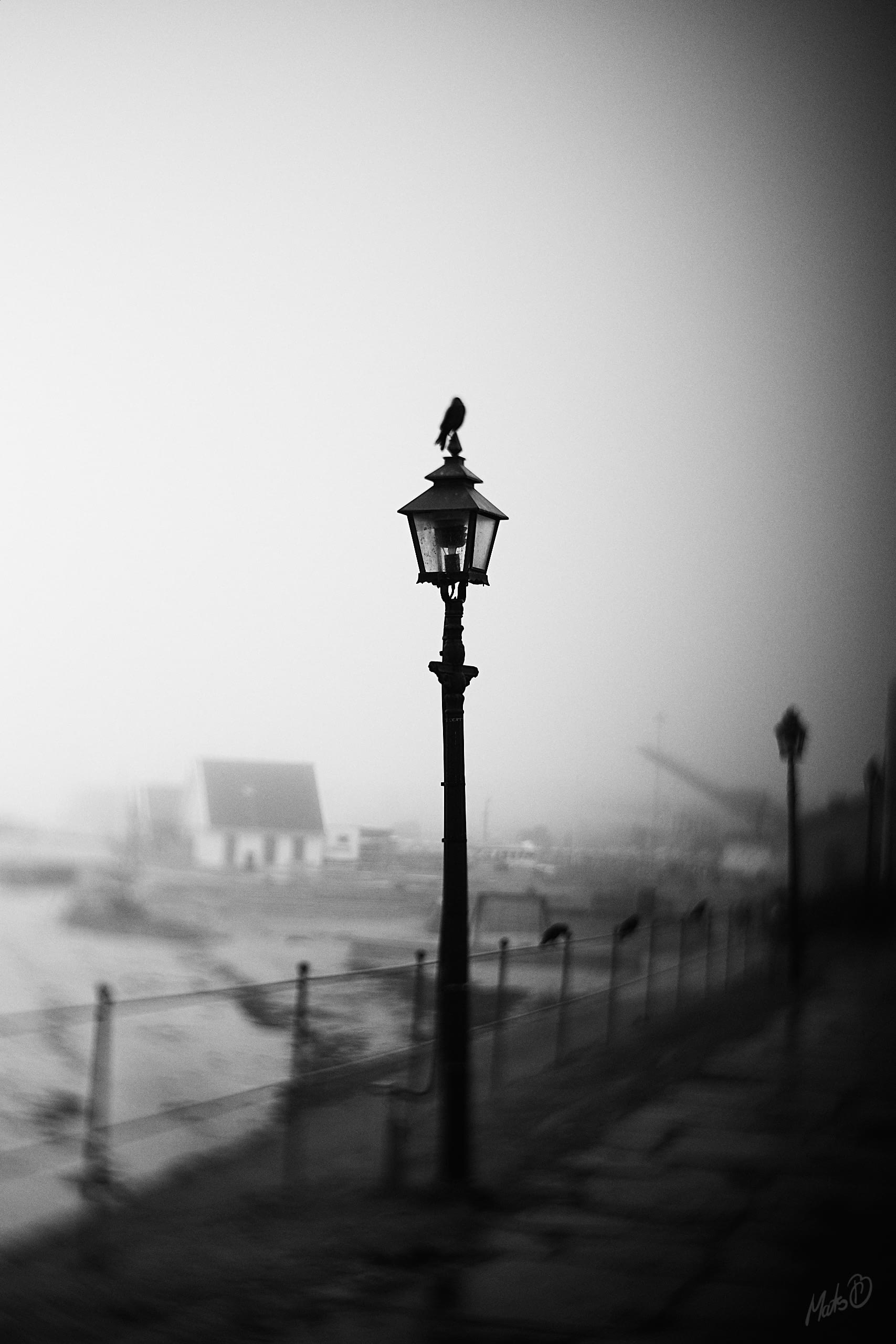 Je suis noir #3